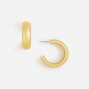 NWT J Crew Slink Hoop Earrings